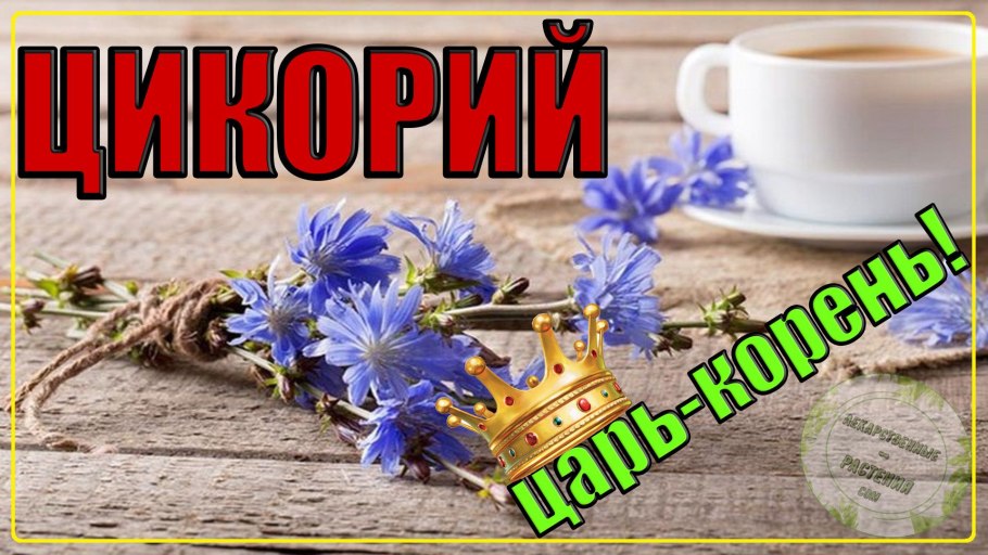 Цикорий с инулином
