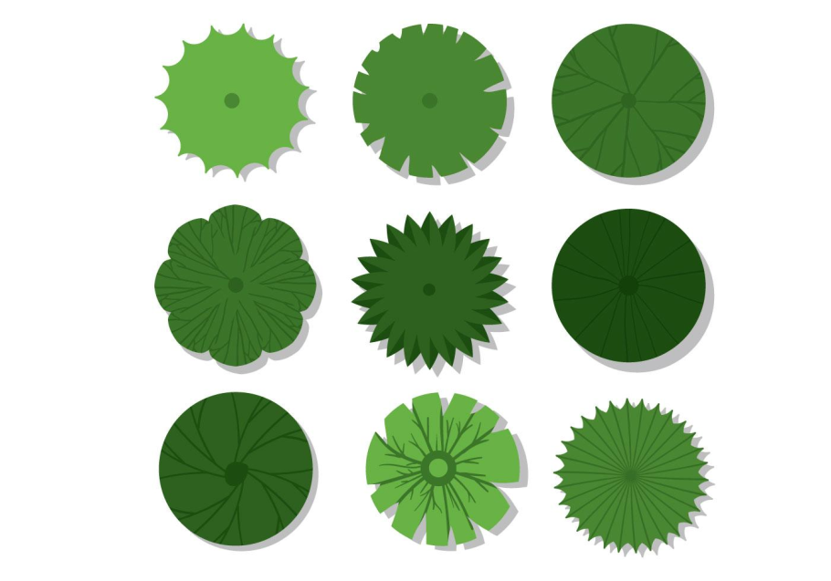 Векторные деревья сверху