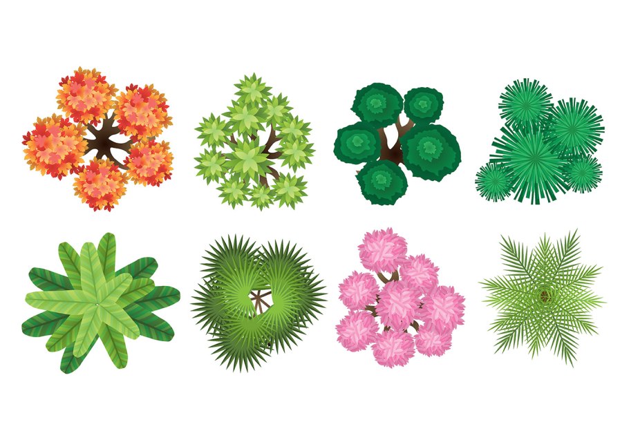 Растительность вид сверху