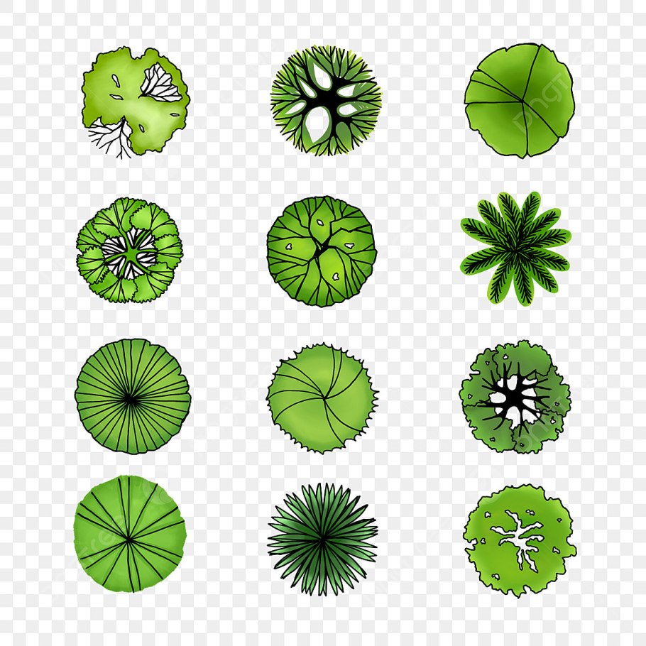 Векторные деревья вид сверху