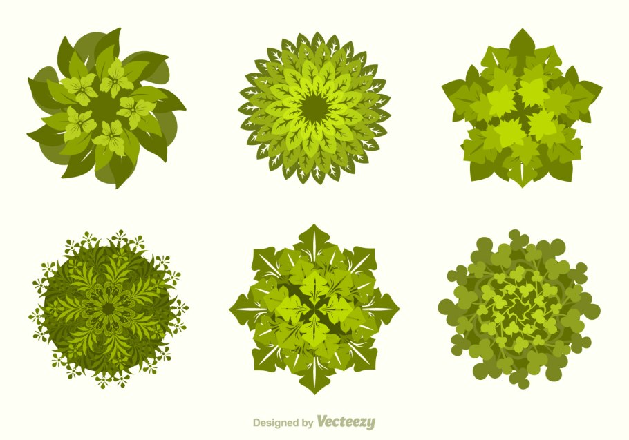 Векторные деревья сверху