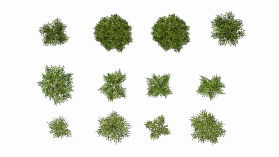 Кусты вид сверху