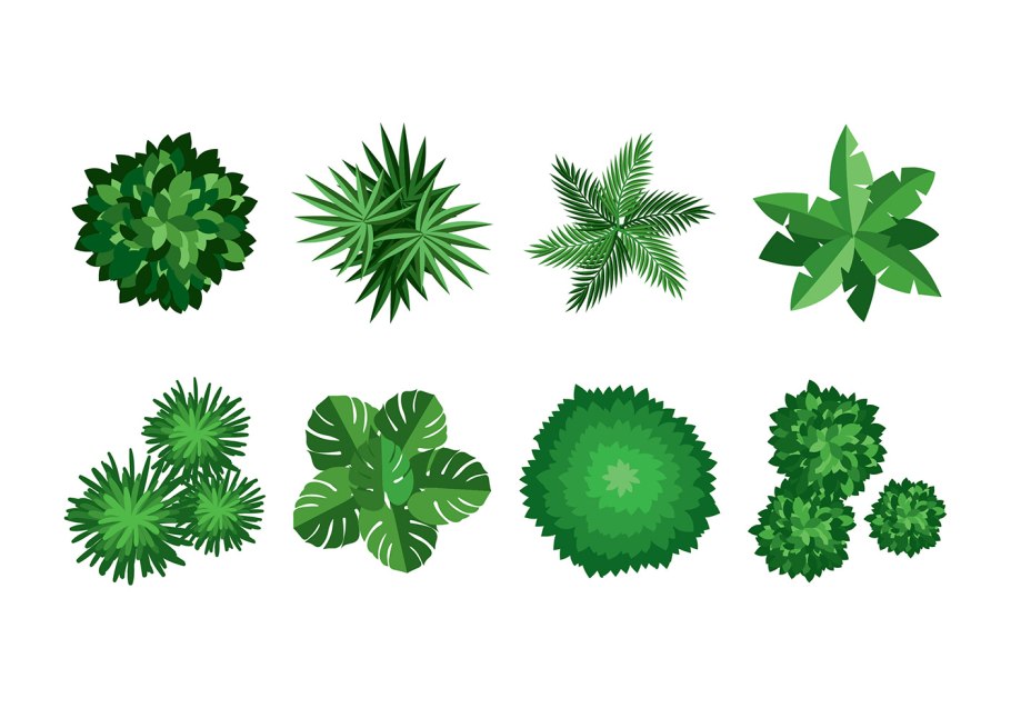 Растения вид сверху вектор