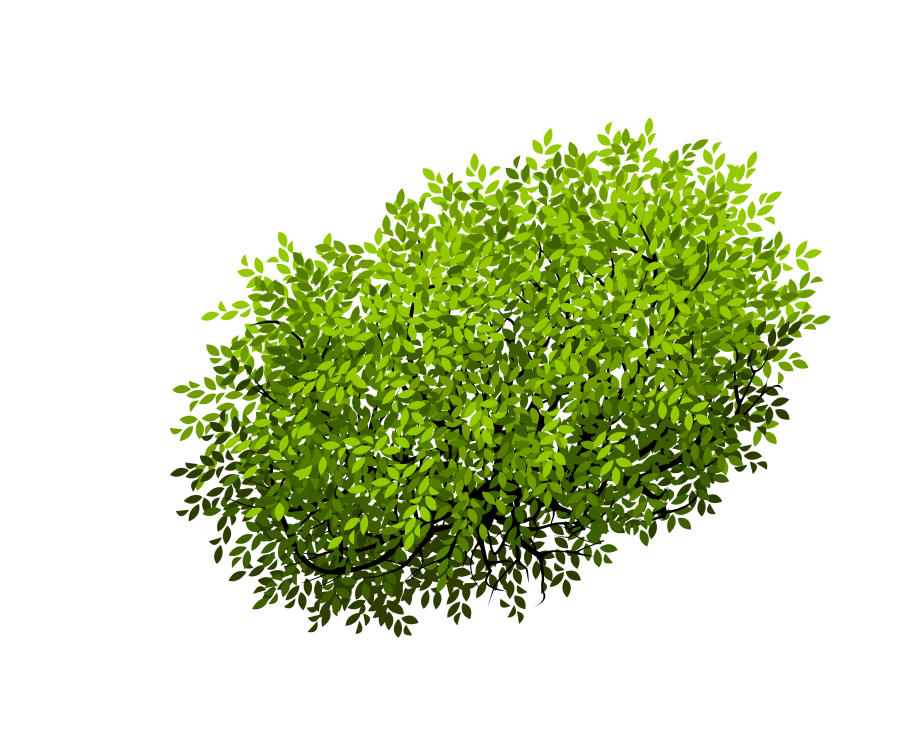 Куст на прозрачном фоне