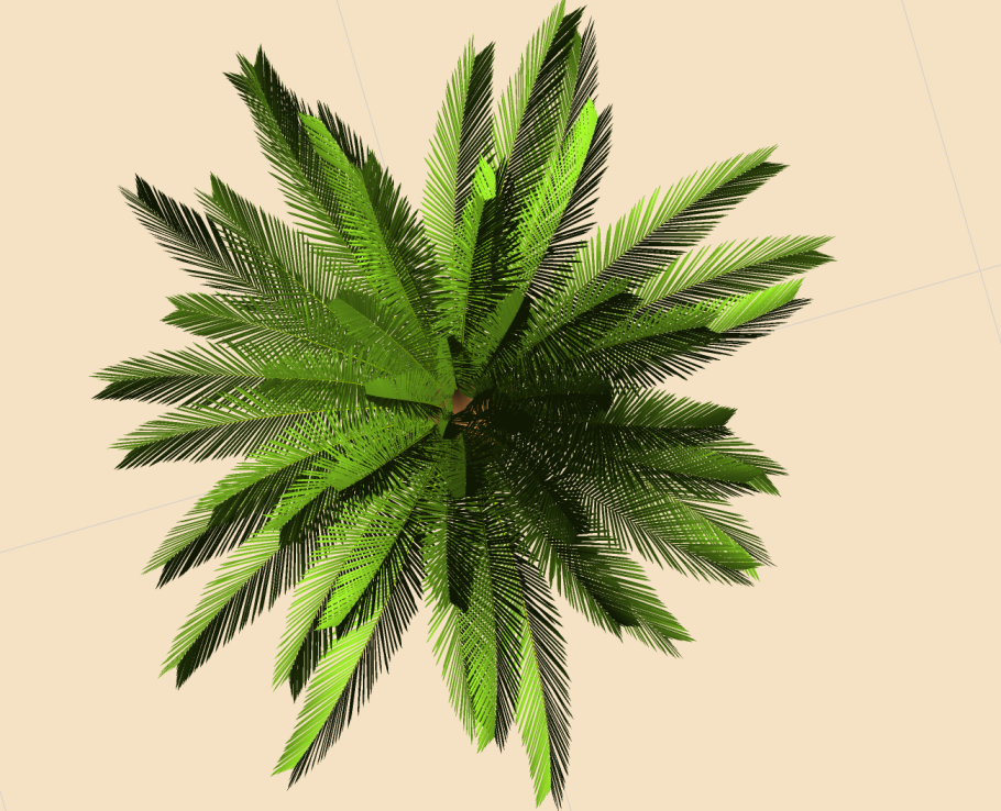 Пальма сверху