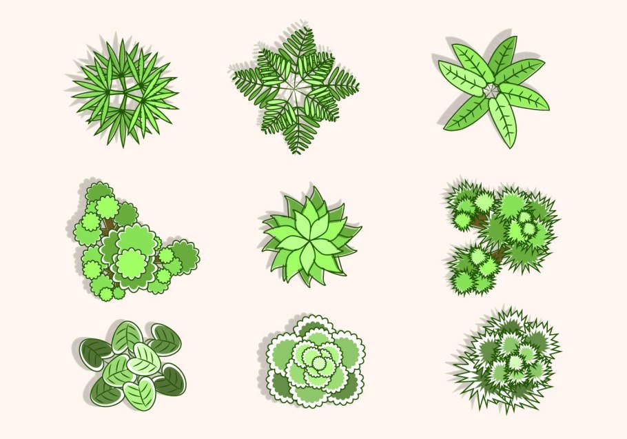 Деревья в плане для Корела