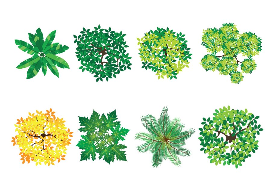 Деревья и кустарники вид сверху