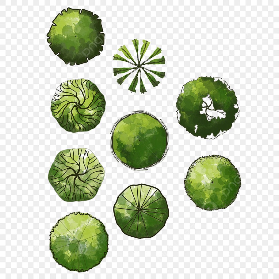 Акварельные деревья вид сверху