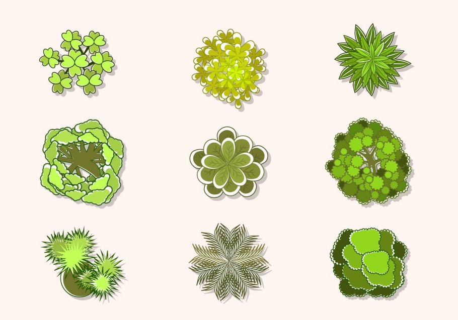 Деревья вид сверху