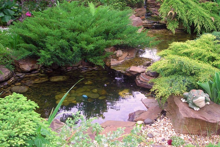 Альпийская горка с прудиком