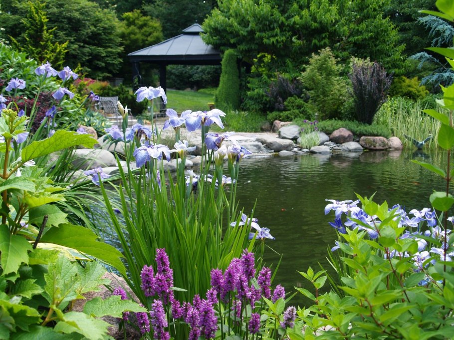 Водоем в пейзажном стиле