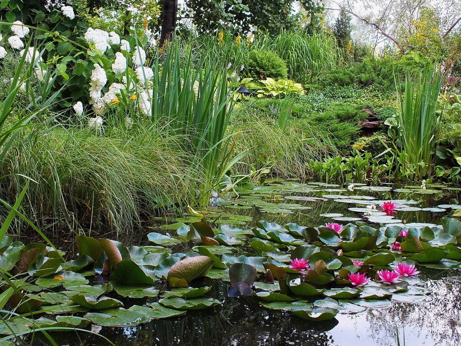 Скандинавский прудик