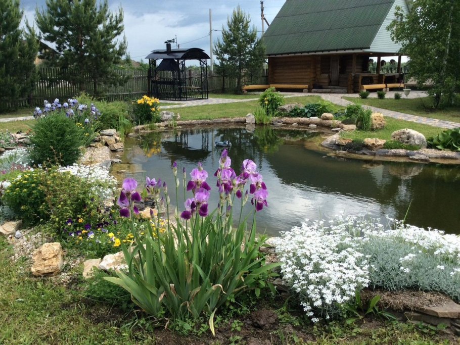 Огородный прудик