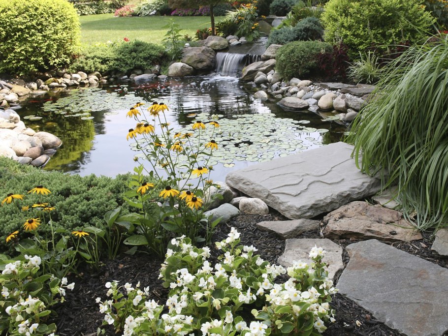 Приусадебный водоем