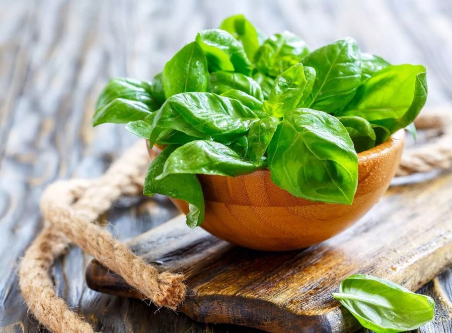 Базилик овощной песто