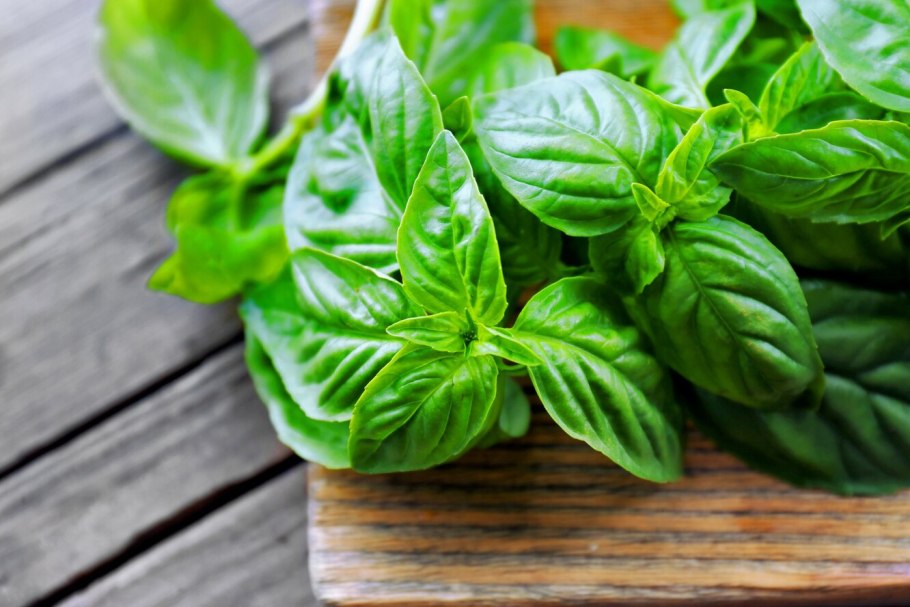 Базилик зеленый и красный