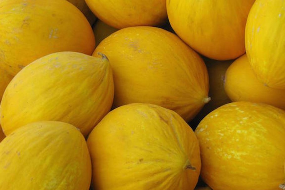Дыня желтая Бразилия сорта