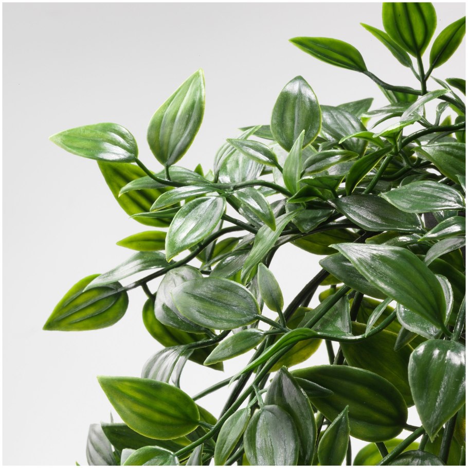 Fejka фейка искусственное растение