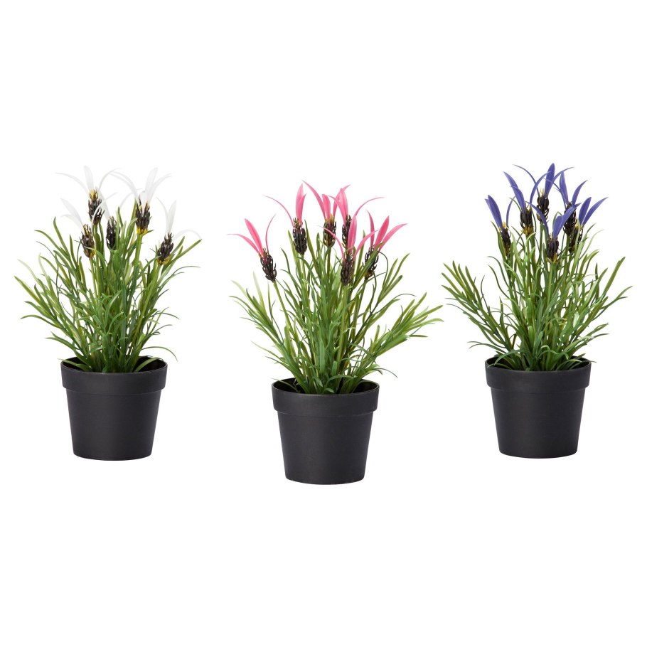 Геншин фейк