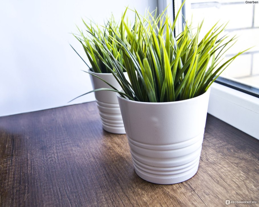 Икеа цветок Fejka