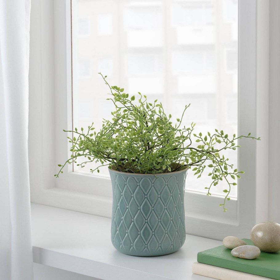 Fejka фейка искусственное растение