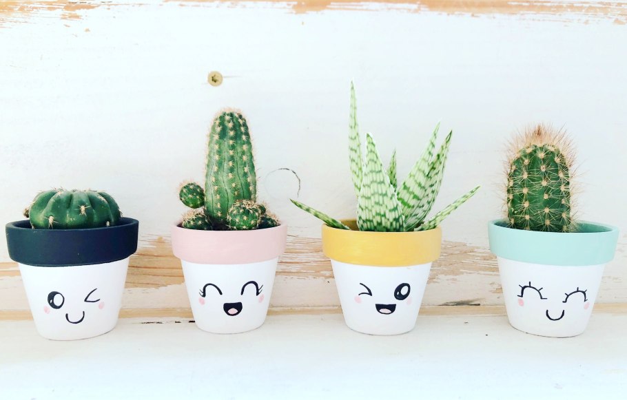 Декорированные кактусы