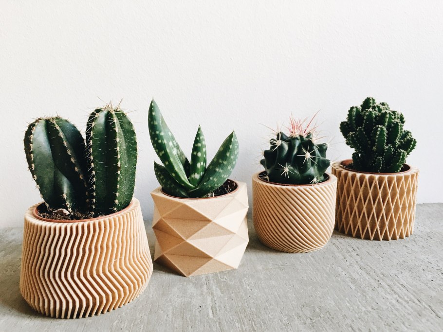 Горшки для маленьких кактусов