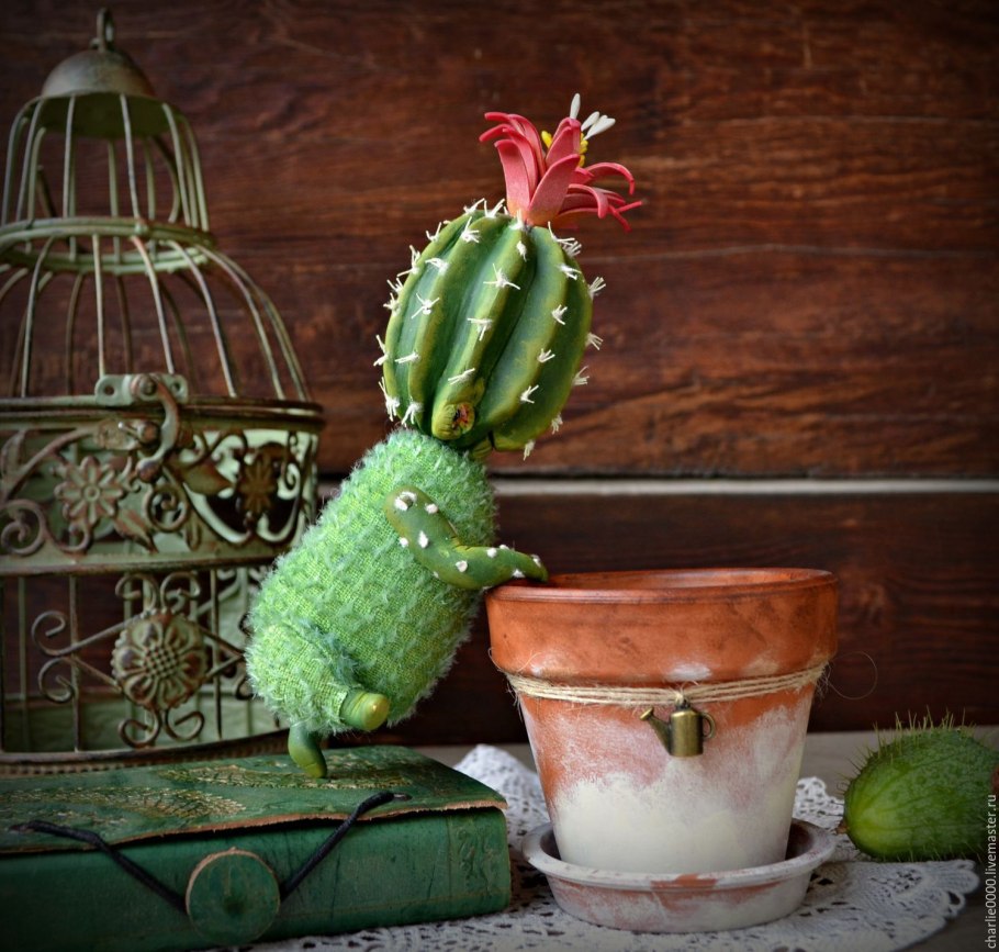 Украшение для кактуса