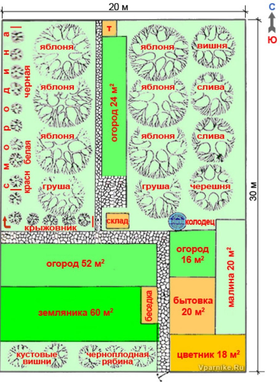 Схема посадки плодовых деревьев и ягодных кустарников