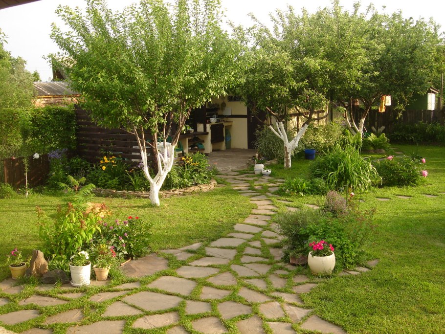 Ландшафт с плодовыми деревьями