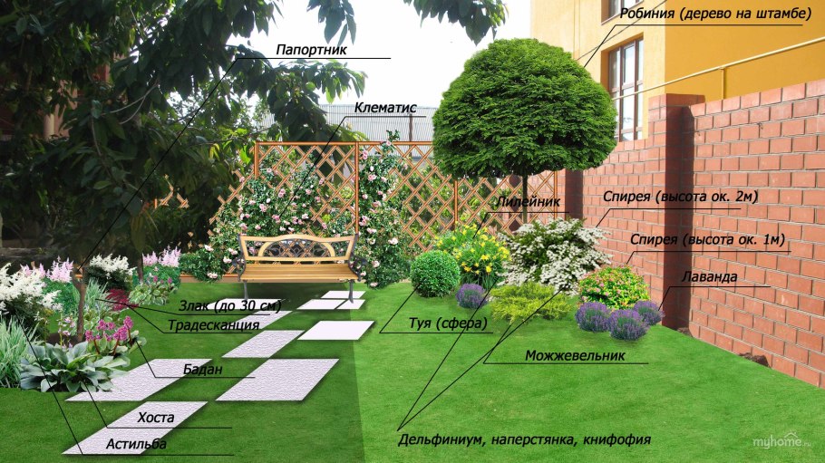 Расположение деревьев и кустарников на участке