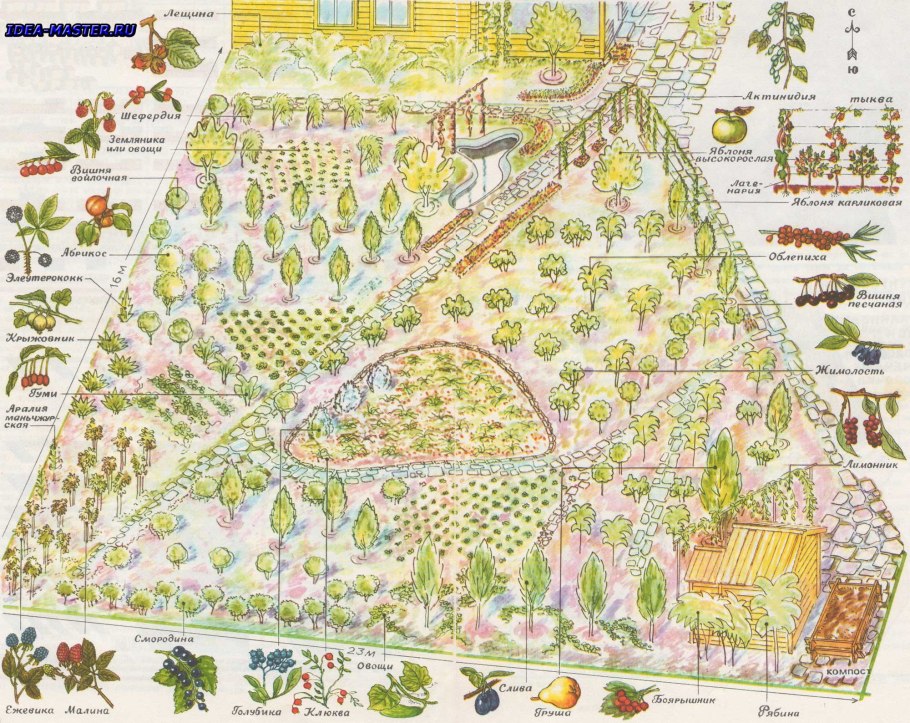 Планировка посадки плодово ягодных культур