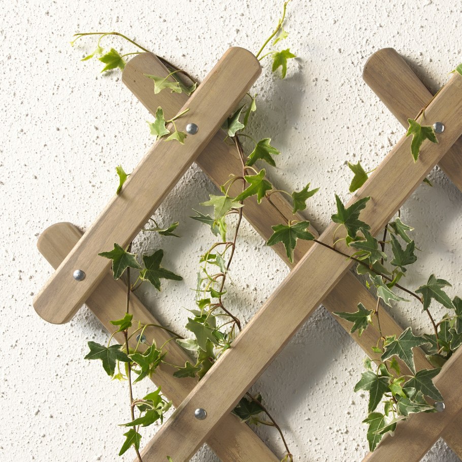 ASKHOLMEN АСКХОЛЬМЕН