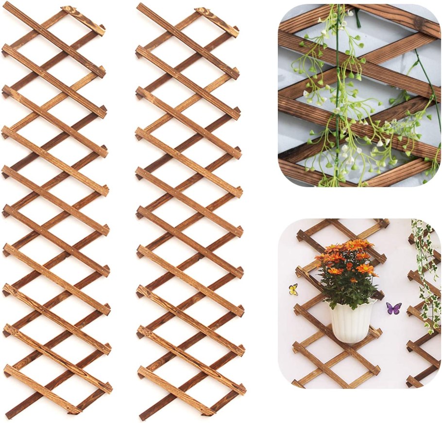 Wood Lattice Garden Trellis