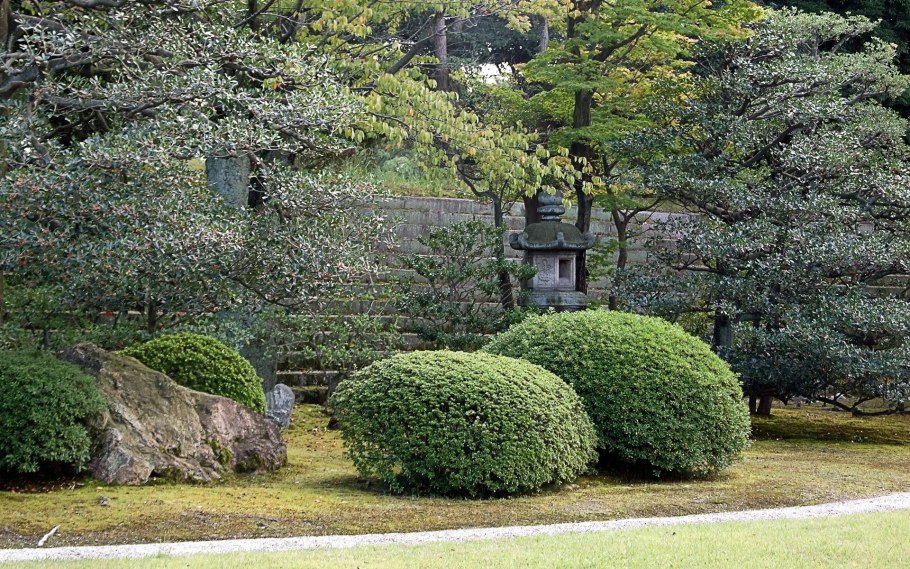 Японские кусты