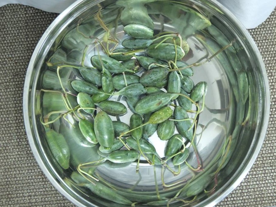 Ягоды каперсов