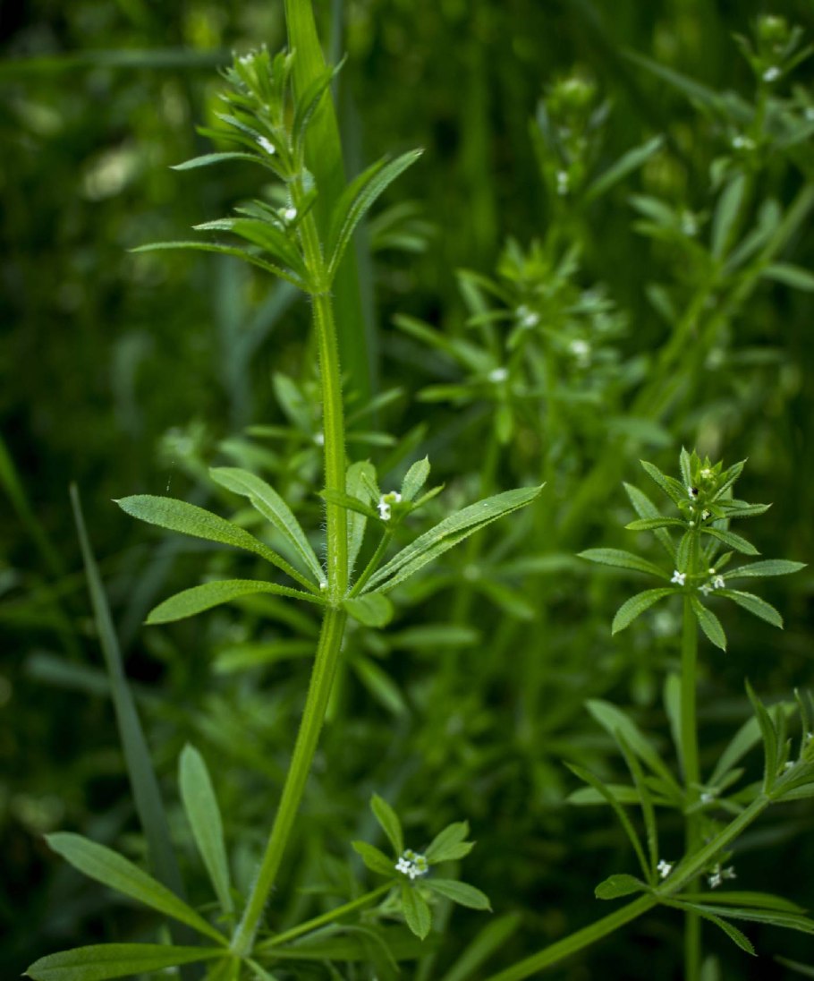Заколки липучки для волос