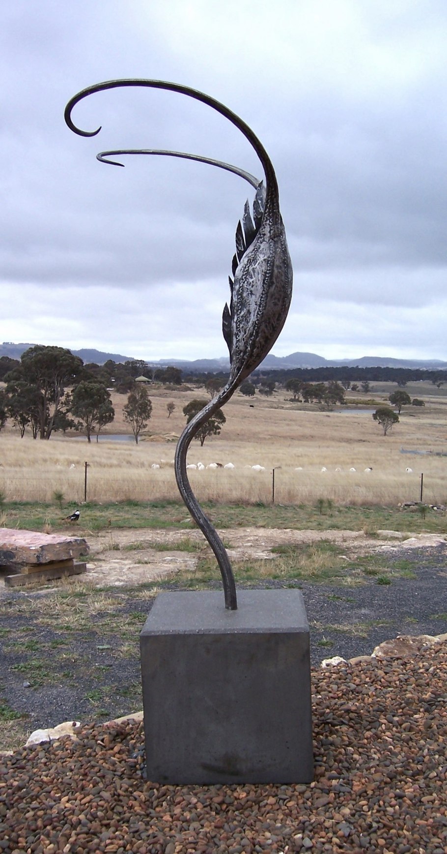 Голубой коготь растение