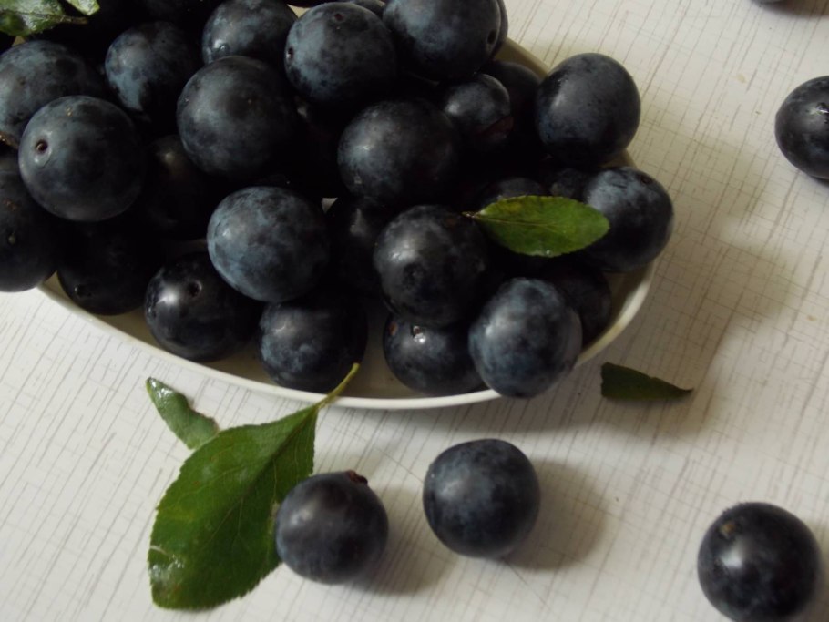 Заготовки из терна