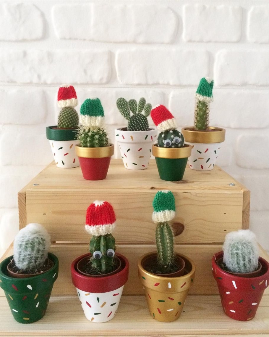 Кактусы украсить в горшке бусинами