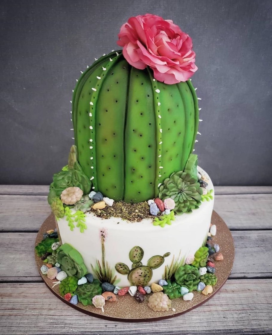 Миниатюрные кактусы