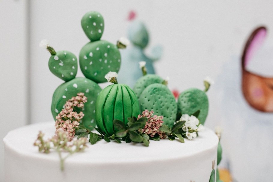 Кактусы из камушков