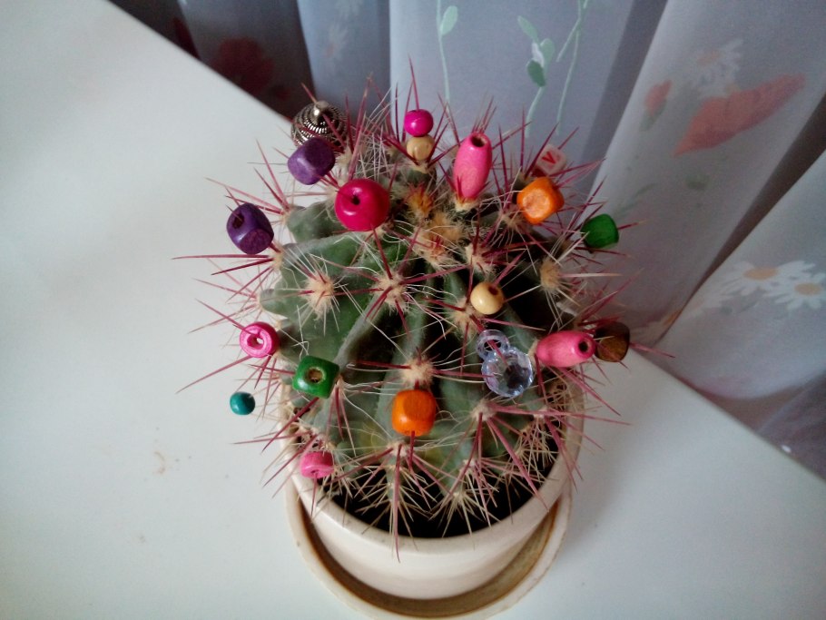 Новогодний Кактус
