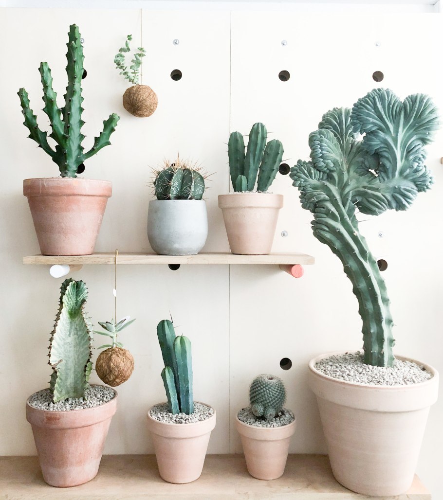 Мягкая игрушка Кактус в горшке