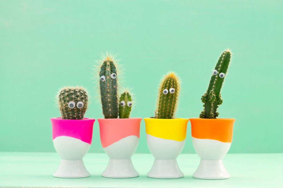 Декор "Кактус"