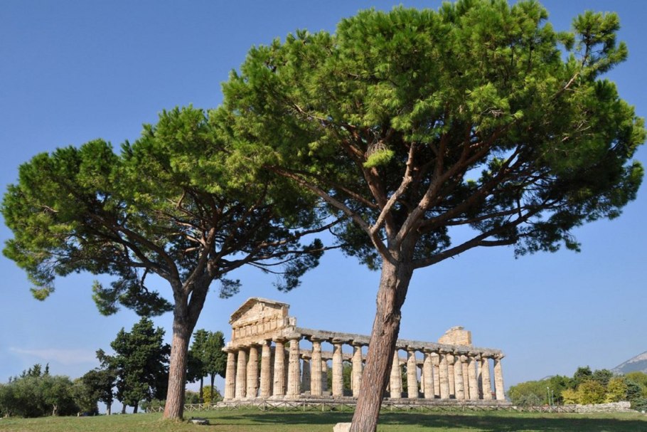 Temple of athena (paestum)
