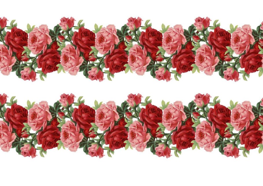 Розы бордюр