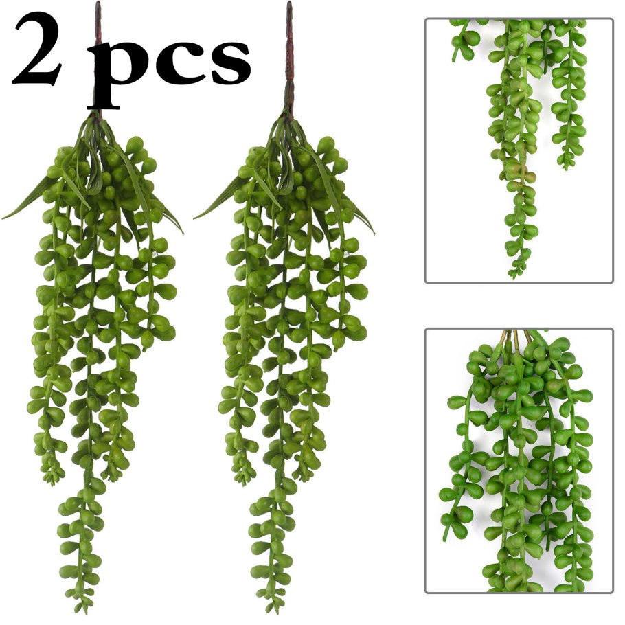 Английский плющ