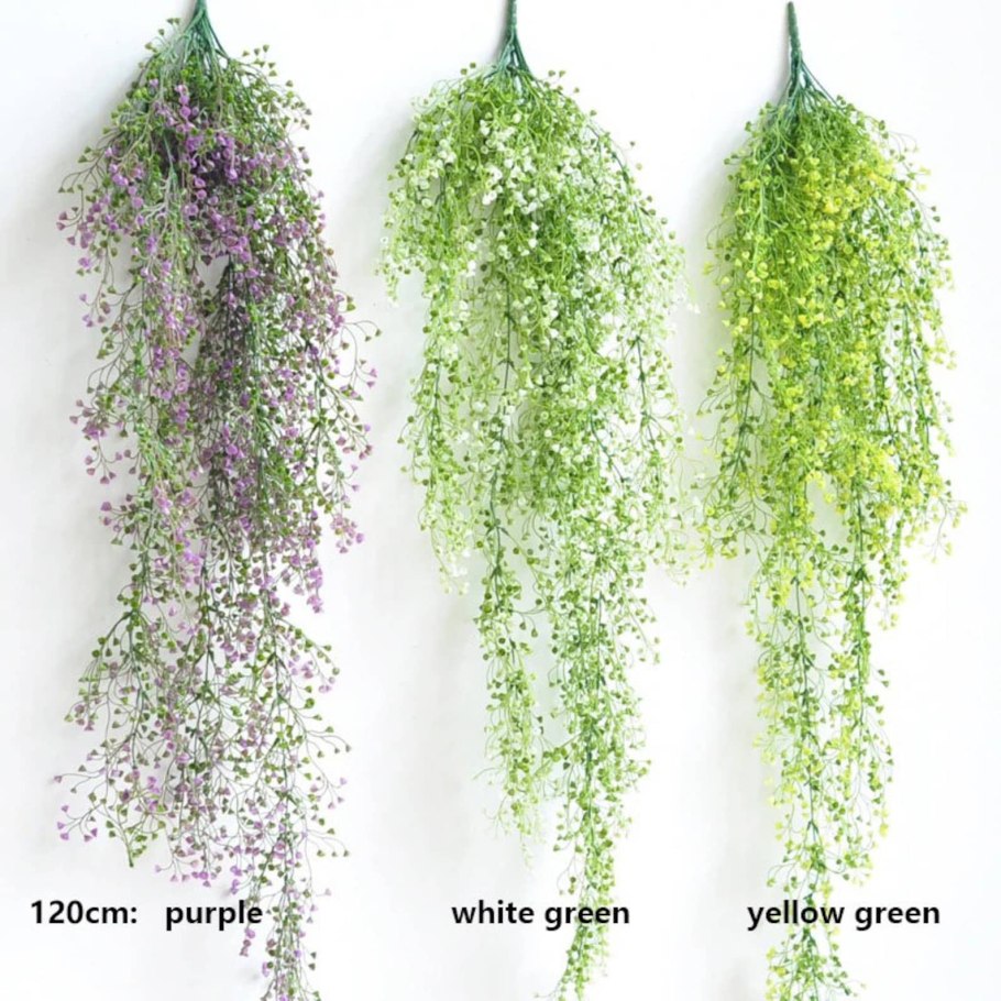 Ампельная ветка зелени