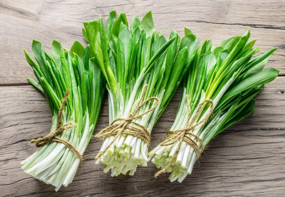 Черемша Дикая